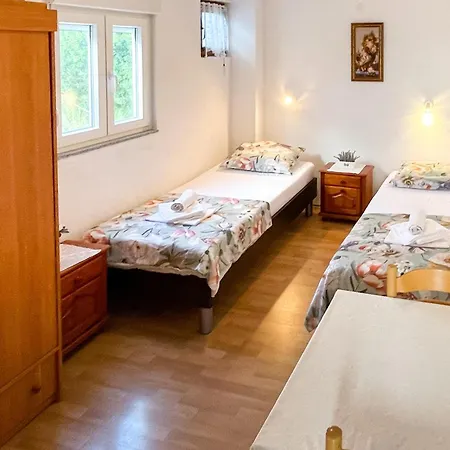 Danica * 오레비츠